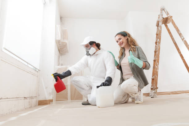 Best Post-Construction Mold Inspection  in Nokesville, VA